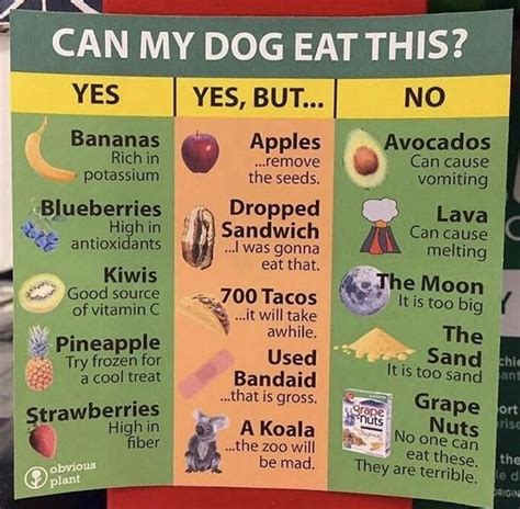 can dogs eat monde mamon|List of Food Dogs Can (and Can't) Eat, According to Vet.
